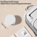 Foldable LED Desk Lamp