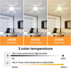 LED Ceiling Fan Light